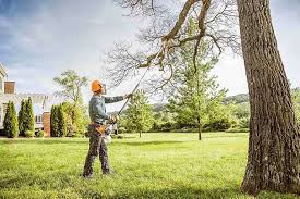 Best Tree and Shrub Care  in Pine Grove, PA