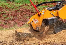 Best Lawn Watering Services  in Pine Grove, PA