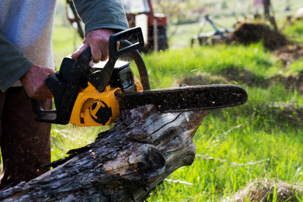 Best Lawn Mowing  in Pine Grove, PA