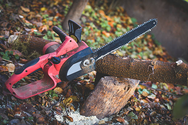Best Lawn Pest Prevention  in Pine Grove, PA